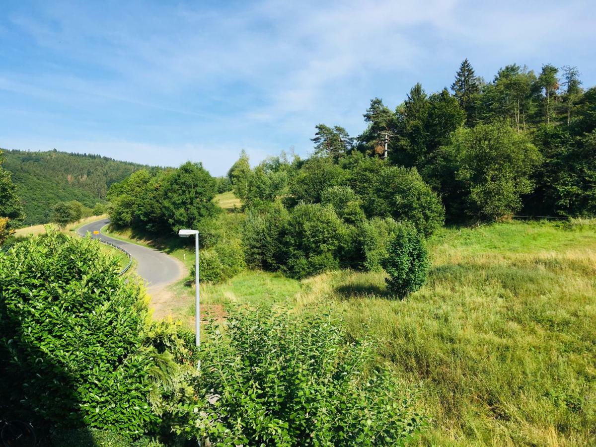 Acht Ferienwohnung Am Nuerburgring/Wintersport Arft מראה חיצוני תמונה